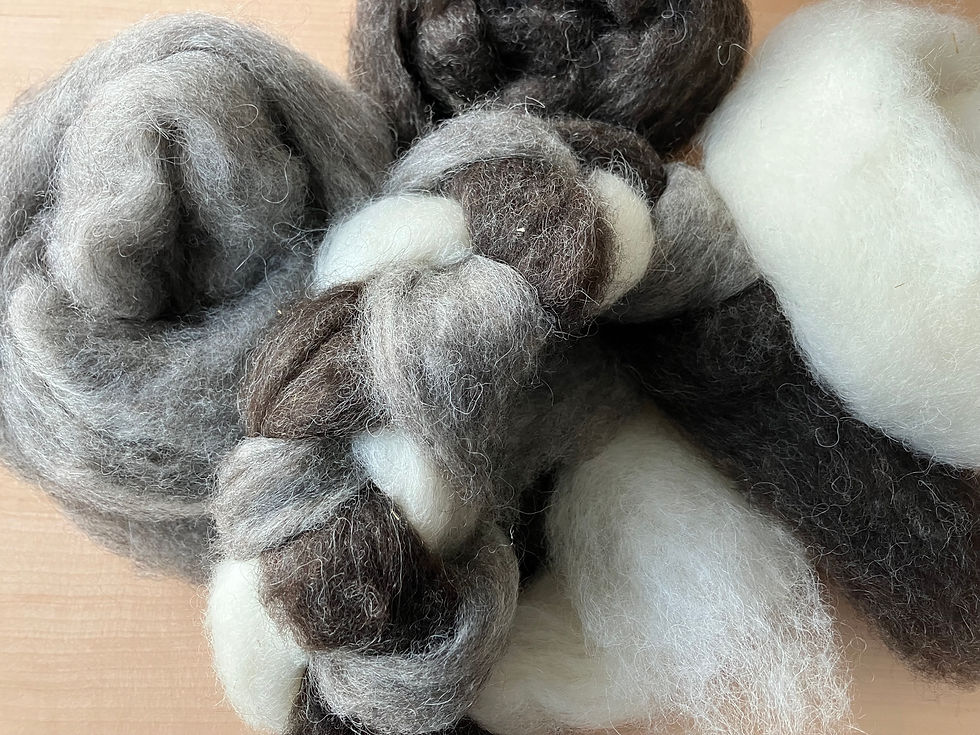 Thumbnail: Gotland BFL