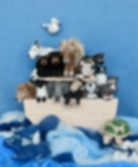 fullsizeoutput_365.jpeg