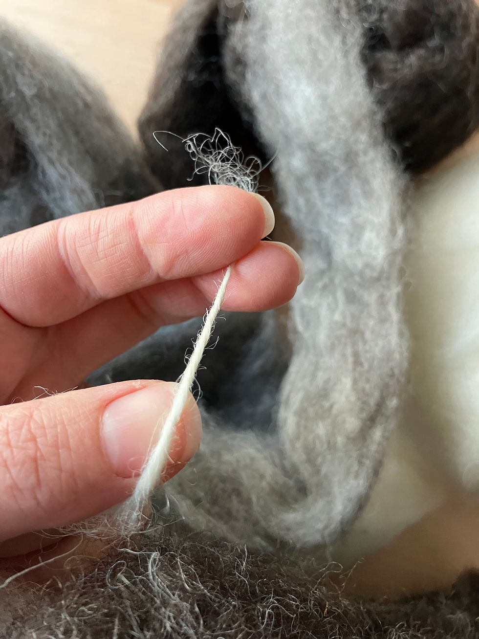 Thumbnail: Gotland BFL