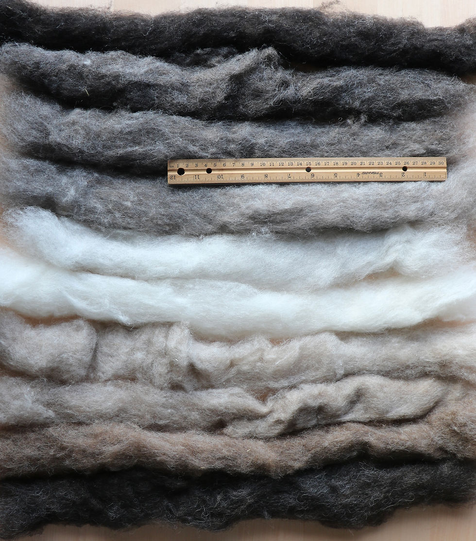 Thumbnail: Woolly Meadows Carded Shetland Wool