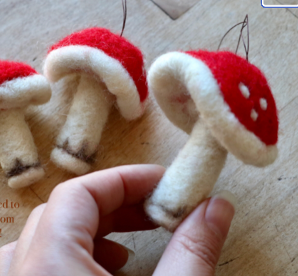 Thumbnail: Mushroom Felting Kit