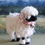 Thumbnail: Valais Blacknose Sheep Felting Kit