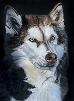 Husky (oil painting, 2020)