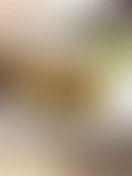 THAISE WRAPS MET KIP EN PINDASAUS