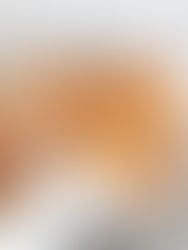 HARTIGE EIWITRIJKE ONTBIJTWAFELS