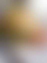 VEGETARISCHE PITA MET HALLOUMI