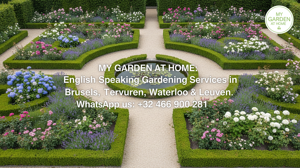 High angle view of a neat garden with trimmed hedges and clean flower beds