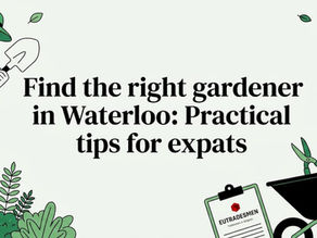 Editorial gardening title card illustration