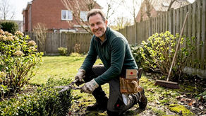 Gardener trimming hedges in Tervuren yard