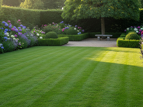 Freshly mowed lawn in an expats garden in Brussels