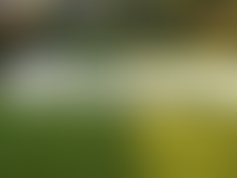 Achieving a Perfect Lawn with Expert Mowing: Efficient Lawn Mowing Tips