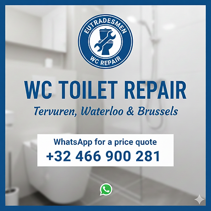 Don't Let a Leaking WC Drain Your Wallet: Professional Repair Services in Tervuren, Brussels, and Waterloo