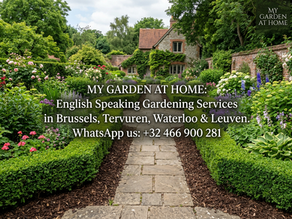 Essential Seasonal Garden Maintenance and Cleanup Tips for Brussels Residents