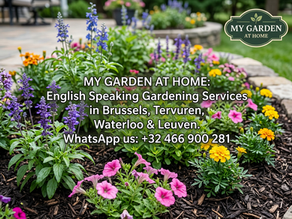 Smart Weeding Solutions for Beautiful Gardens and Flowerbed Maintenance