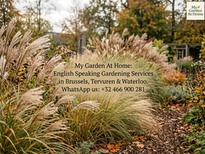 Autumn Plant Care: Preserving Plants by Knowing What Not to Cut Back in Autumn