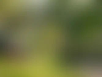 Gardener trimming hedge in Brussels garden with lawn mower on standby