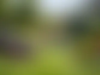 Gardener in Waterloo Belgium finishes off cutting the lawn.