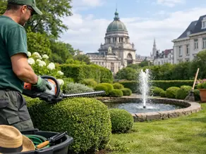 Gardener trims bush in Brussels garden.
