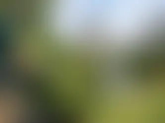 Gardener trims bush in Brussels garden.