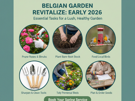 Garden Tasks in January and February with Eutradesmen Belgium