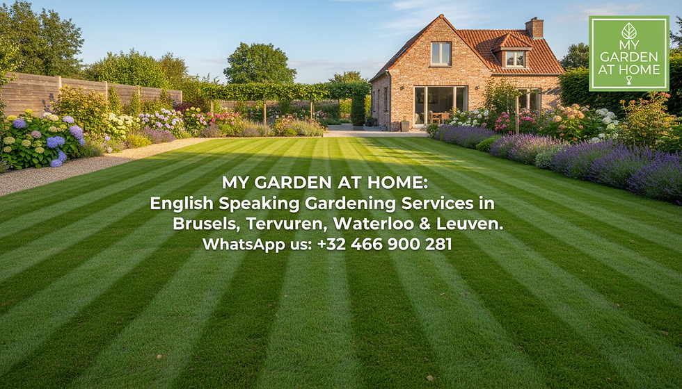 Achieving a Perfect Lawn with Expert Mowing: Efficient Lawn Mowing Tips