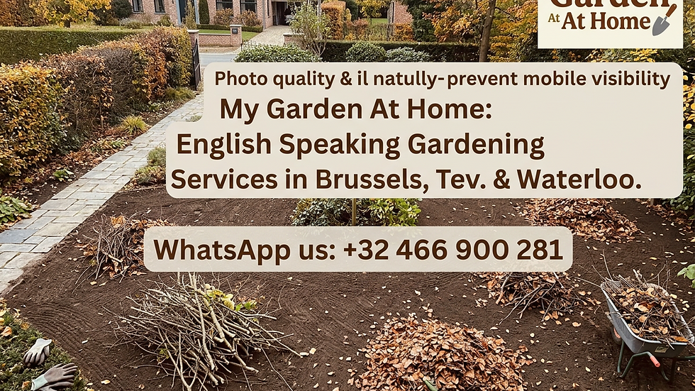 High angle view of cleared garden area with piles of branches and leaves ready for disposal