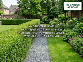 Expert Garden Services Waterloo: Maintaining Your Garden in Waterloo