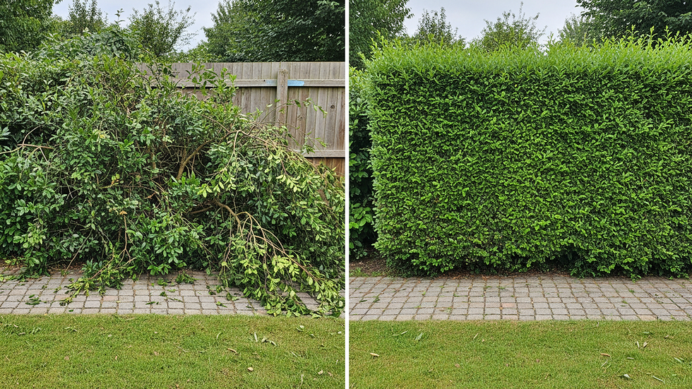 Effortless Garden Cleanup Services in Grez-Doiceau