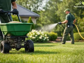 Lawn sead being spread across a lawn to enhance its quality with another gardener watering the lawn