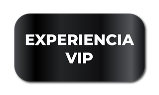 experiencias plan 10 meses-02.png