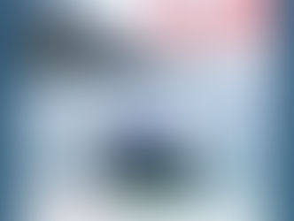 Analyse des mers : comment l'IA améliore la détection des mammifères marins grâce aux drones