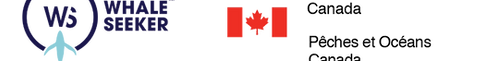 WS x DFO Logos.png