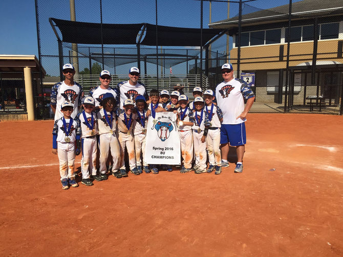 Spring 2016 Cobra 8U Champions