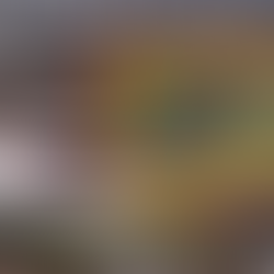 Hallan 456 bolsas con restos humanos cerca del Estadio Akron