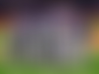 Dodgers es CAMPEÓN de la MBL 2024