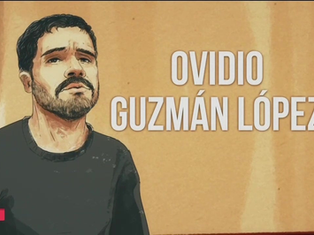 Ovidio Guzmán se declara culpable en EU