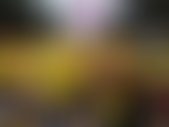 PRD trabaja en un nuevo proyecto político