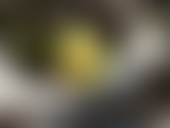 EE UU suspende las importaciones de aguacate mexicano 