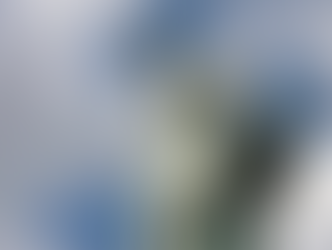 EE.UU. rechaza devolver la Estatua de la Libertad