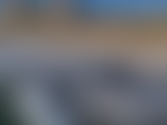 Hallan ballena sin vida en playa de Tijuana