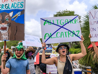 Demócratas denuncian 750 migrantes en jaulas en “Alligator Alcatraz”