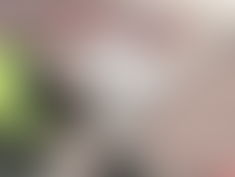 FGR investiga a sujeto que intentó desviar un avión hacia EU