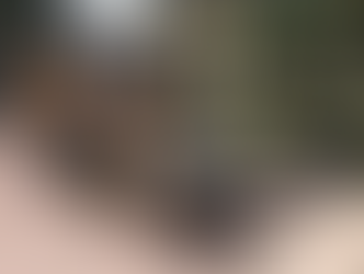 Quitan estatuas de Fidel y el Che en CDMX