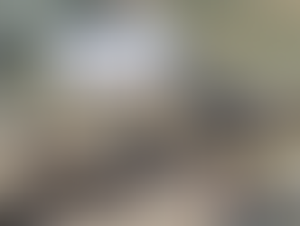 México exige a EU explicación por nueva base militar en la frontera