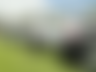 Diputados declaran constitucionalidad de reforma a Guardia Nacional