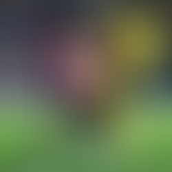 América y Cruz Azul, Clásico Joven en cuartos de la Concachampions