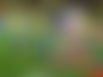 Brasil y Ecuador sellan su boleto al Mundial