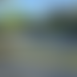 Asesinan a coordinador del IMSS‑Bienestar en Chilpancingo