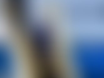 Cárteles operan como gobiernos en regiones de México: Marco Rubio