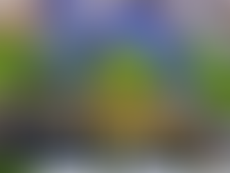 América logra el Tricampeonato y se confirma como equipo de época